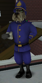 Officer Wallace