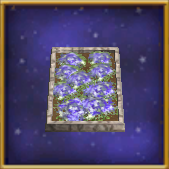 Hyacinth Flowerbed