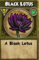 Black Lotus