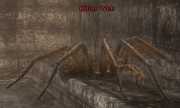Killer Web