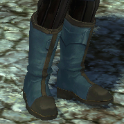 Boots Blue