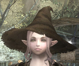 Hood Special Pointy Hat