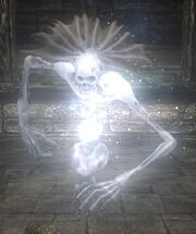 Light spirit