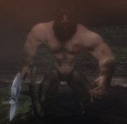 War buffalo