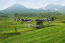 File:Image 4.jpg