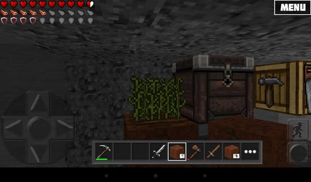 File:Plants underground.jpg