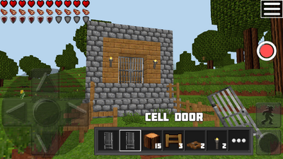 Cell door 2