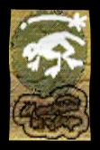 File:Tlizard.jpg