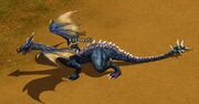 Drachen.jpg