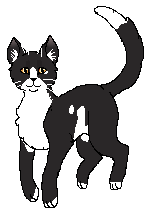 Plik:Patchpelt.png