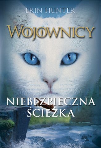 Plik:Niebezpieczna ścieżka.jpg