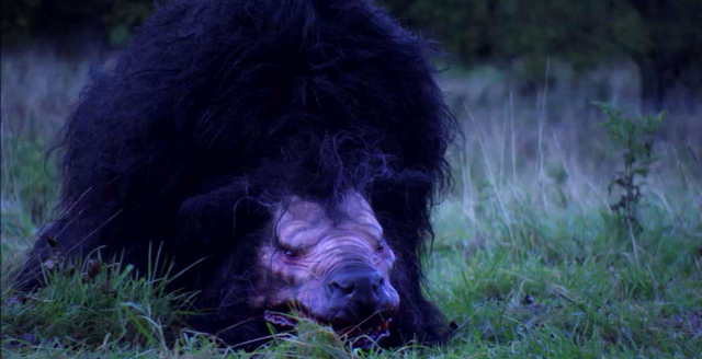 File:Werewolf creature.png
