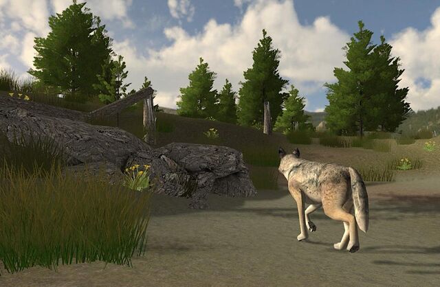 File:Screen shot45.jpg
