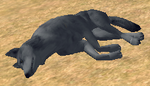 Player corpse