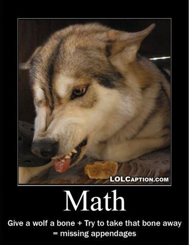 File:Math Wolf.jpg