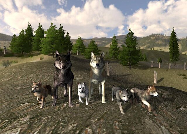 File:Screen shot48.jpg