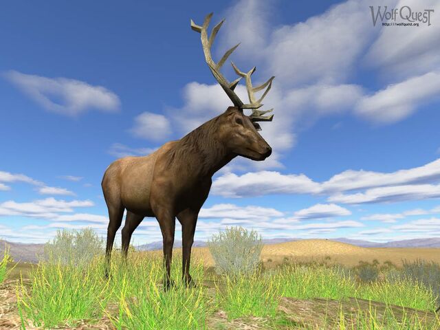 File:Screen shot4.jpg