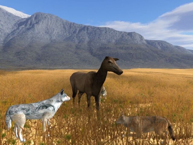 File:Elkstanding4.normal.jpg