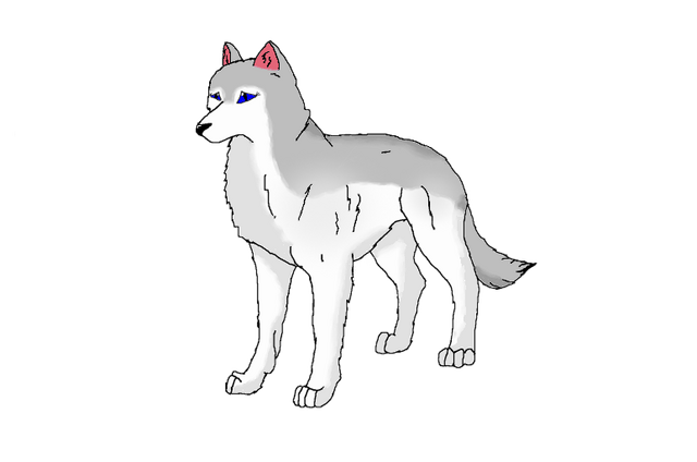 File:Silverfang 3.png