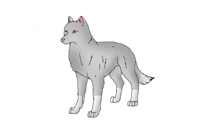 File:Lilac.png