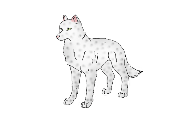 File:Ash.png