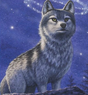Wolves of beyond 2