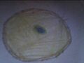 Thumbnail for version as of 00:50, December 3, 2011