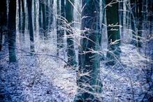 Unknown-3