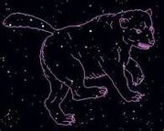 Ursus