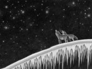 Star Wolf 1
