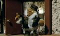 Thumbnail for version as of 16:03, June 13, 2012