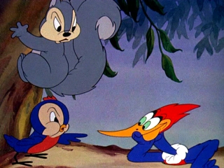 Ficheiro:Woodywoodpecker02.jpg