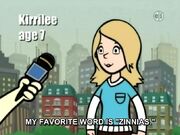 Kirrilee7zinnias