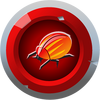 Fire Beetle
