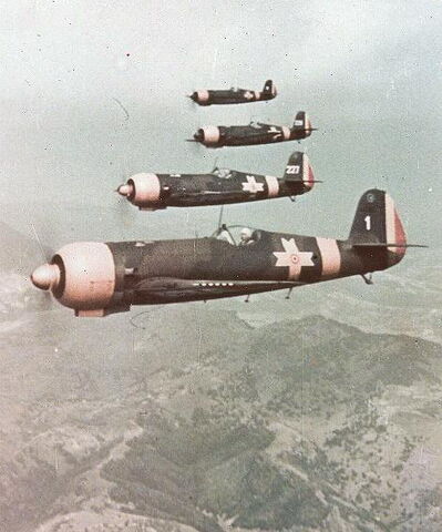 File:IAR 80.jpg