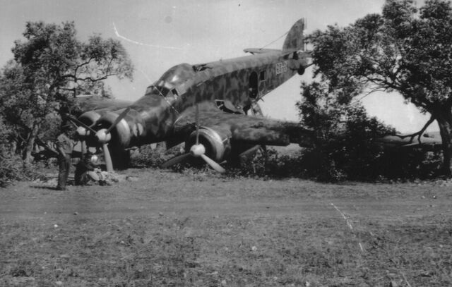 File:SM.79 Crash Landing, Circa 1940.jpg