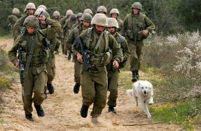 File:Israeli.jpg