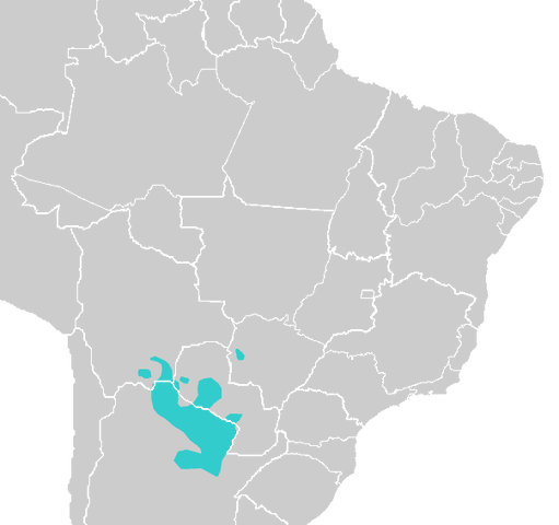 File:Mataco-Guaicuru Languages.png
