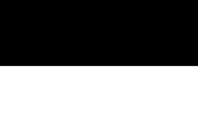 File:Flag of Miktar.png