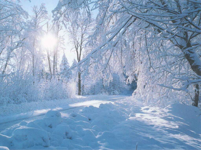 File:Winter Griffin Territory.jpg