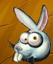Collection-Rabbit Head