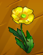 Collection-Buttercup