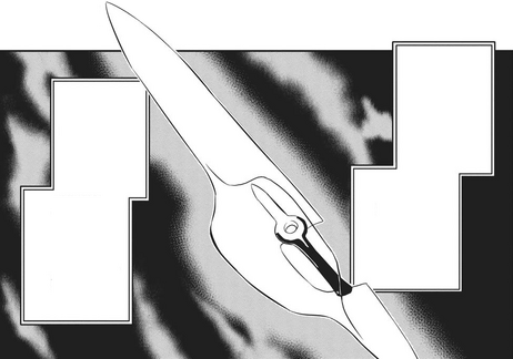 File:Raygust.png