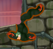 Termites