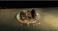 Thumbnail for version as of 20:05, January 11, 2012