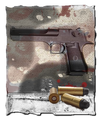 Thumbnail for version as of 02:32, August 26, 2010