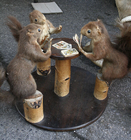 File:Squirrels.jpg
