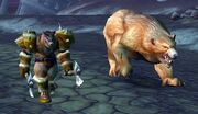 Rexxarwow.jpg