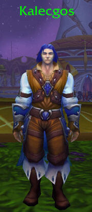 Kalecgos half-elf.jpg