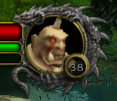 Rare.jpg